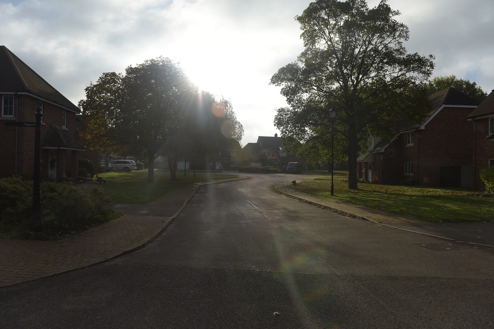 Off-base housing near bird in hand