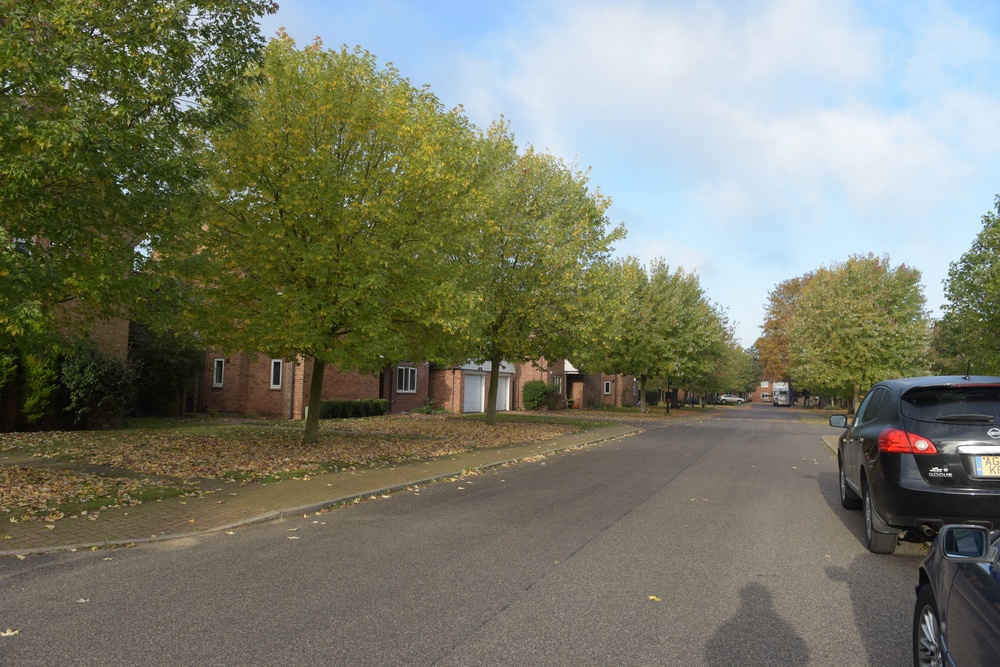 Off-base housing near bird in hand