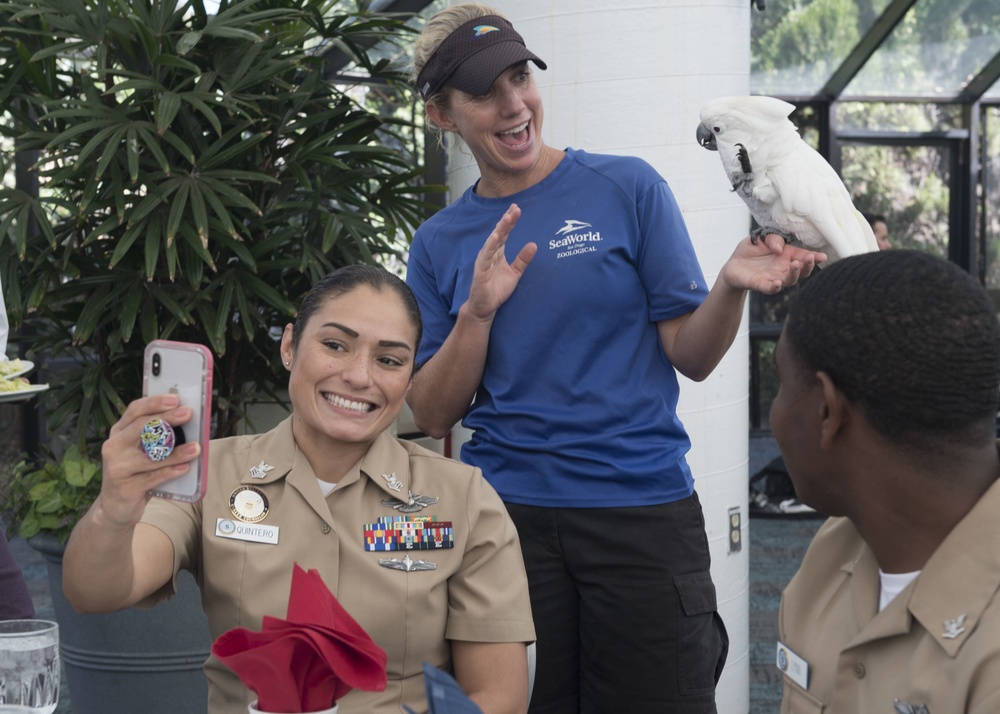 San Diego Fleet Week 2018