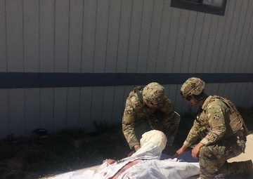 Operation Prominent Hunt: Training tests joint operations