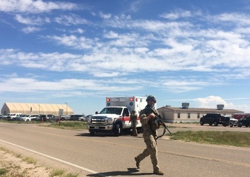 Operation Prominent Hunt: Training tests joint operations