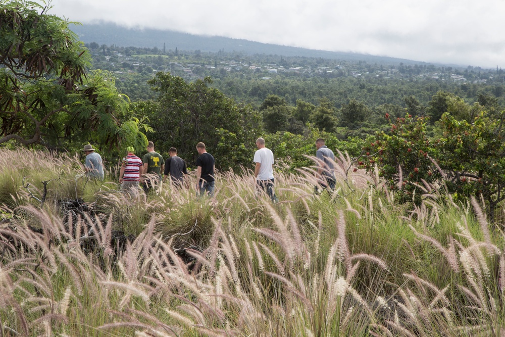 Marines aid in conservation