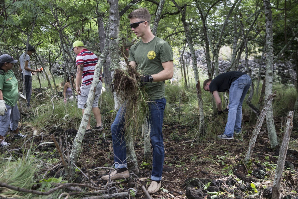 Marines aid in conservation
