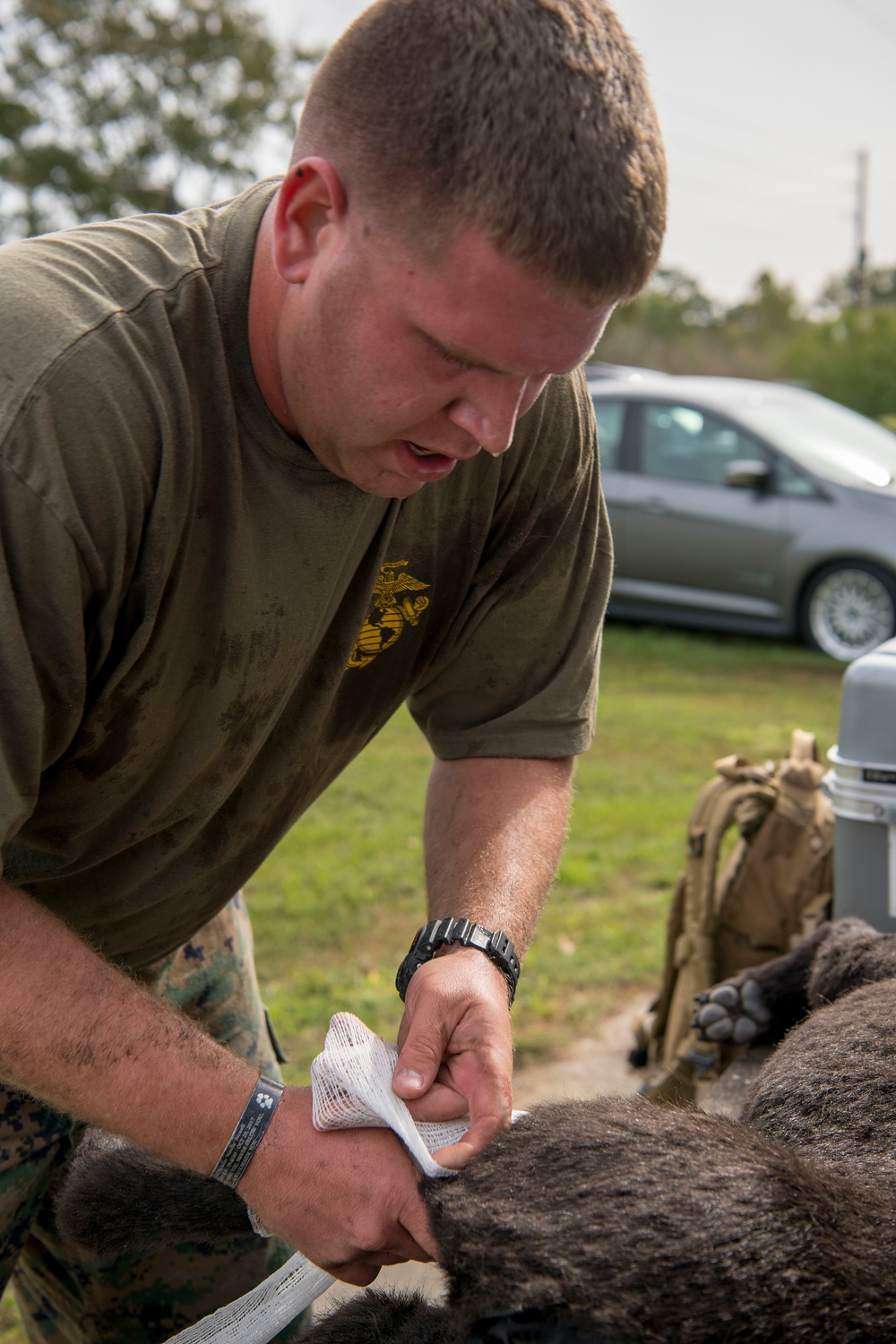 SF hosts East Coast Iron Dog competition