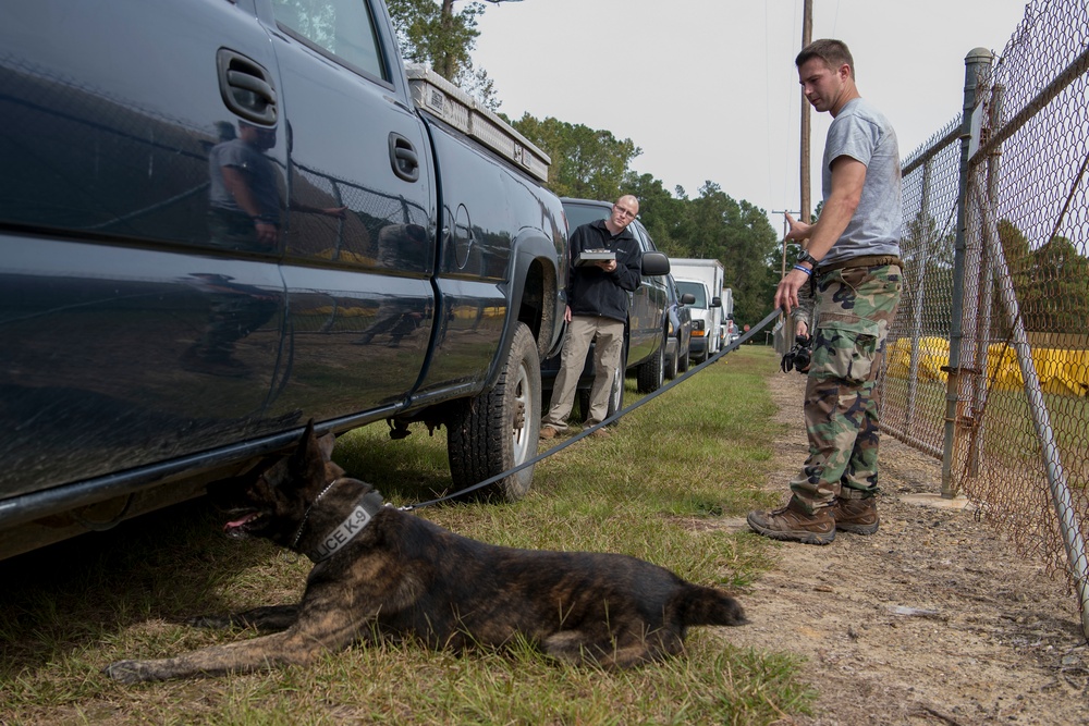 SF hosts East Coast Iron Dog competition