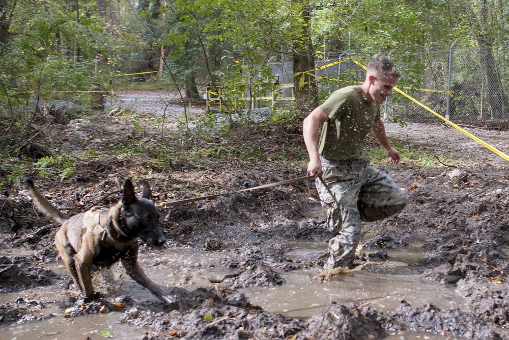 SF hosts East Coast Iron Dog competition