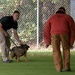 SF hosts East Coast Iron Dog competition