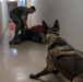 SF hosts East Coast Iron Dog competition