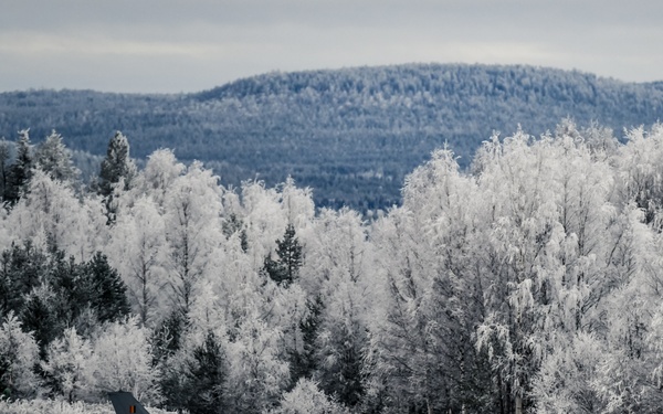 TRIDENT JUNCTURE 2018 - OCT 25 - Belgium