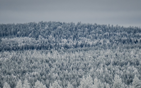 TRIDENT JUNCTURE 2018 - OCT 25 - Finland