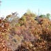2018 Fort McCoy Fall Colors
