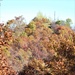 2018 Fort McCoy Fall Colors