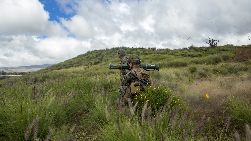 America's Battalion during Exercise Bougainville II