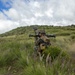 America's Battalion during Exercise Bougainville II