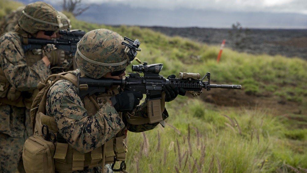 America's Battalion during Exercise Bougainville II