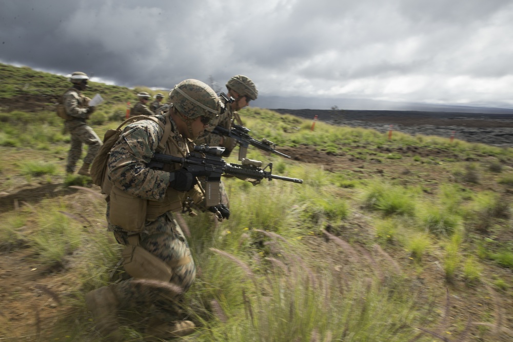 America's Battalion during Exercise Bougainville II