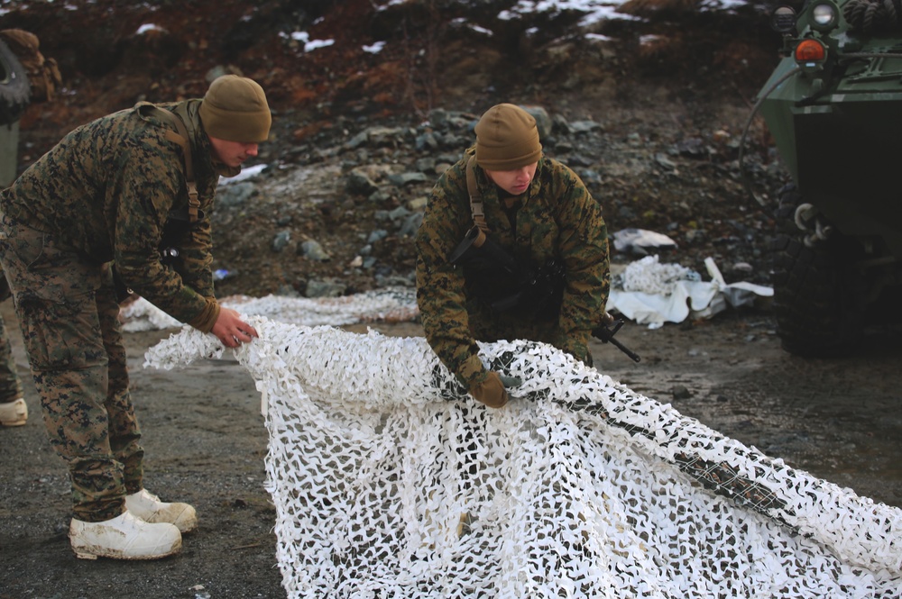 Trident Juncture 18 - 2nd Light Armored Reconnaissance Battalion in Norway