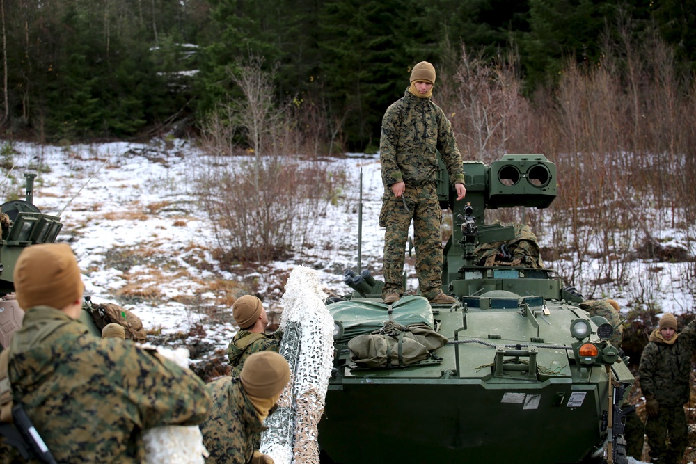 Trident Juncture 18 - 2nd Light Armored Reconnaissance Battalion Marines in Norway