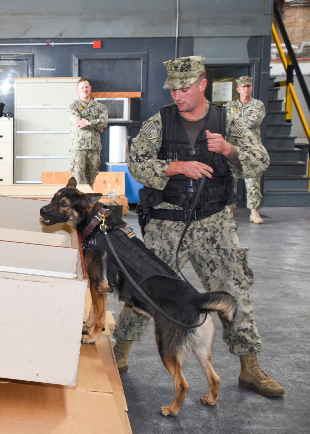 Military Working Dog Certification