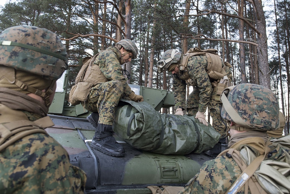 U.S. Marines Participate in Exercise Trident Juncture 18