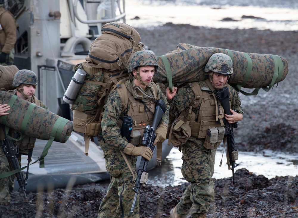 U.S. Marines Participate in Trident Juncture 18