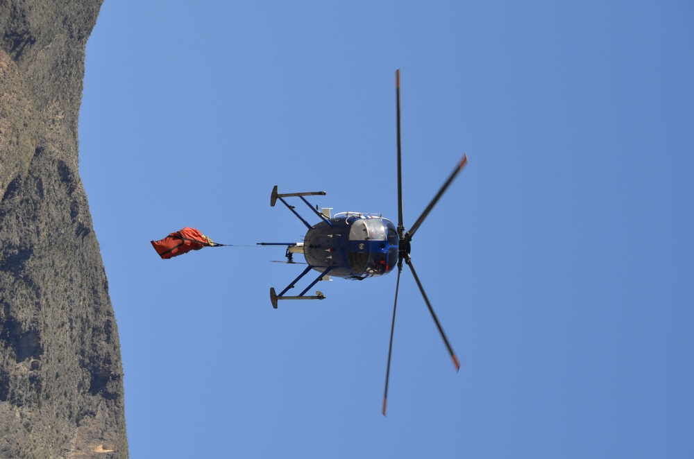 Airlifting a sheep