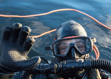 TRIDENT JUNCTURE 2018 - OCT  27 - Netherlands