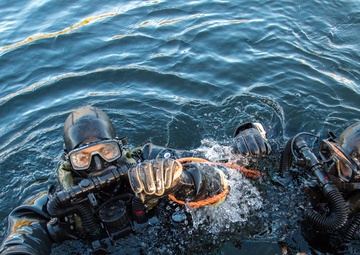 TRIDENT JUNCTURE 2018 - OCT 27 - Netherlands