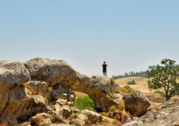 Connecting to Culture