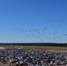 Thunder Over the Rock Air and Space Show