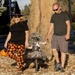 Trunk or Treat, 2018