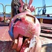 USACE Elizabeth docked to prep for continued labor