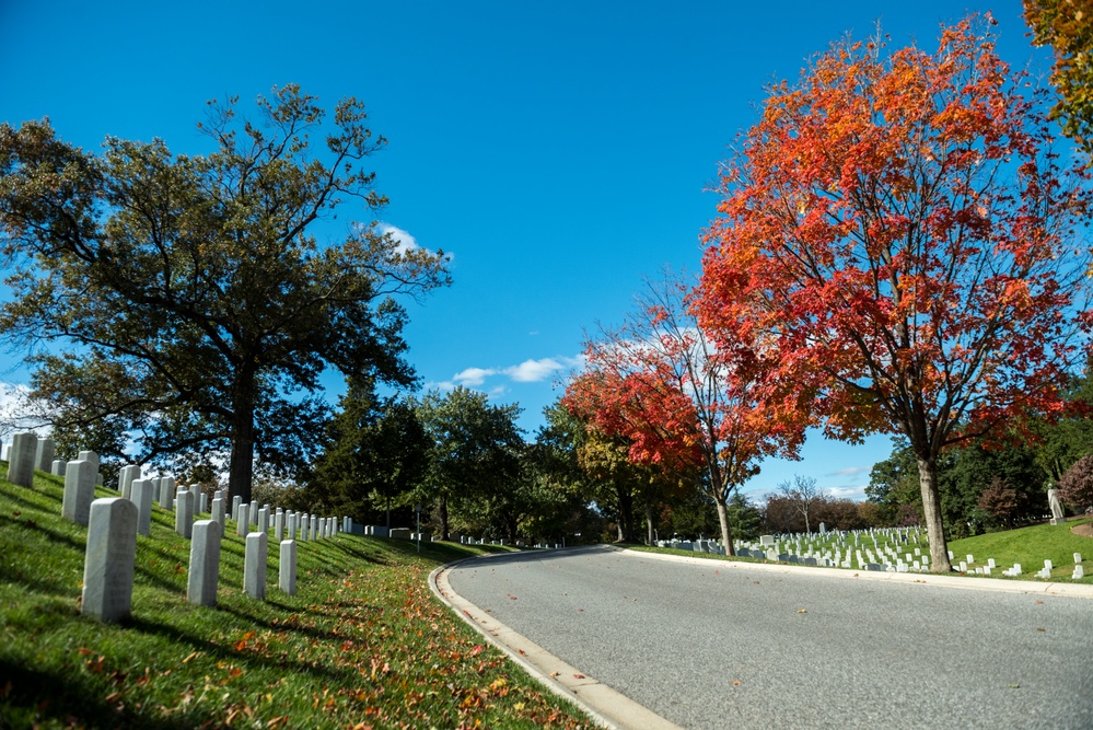 Fall Foliage 2018