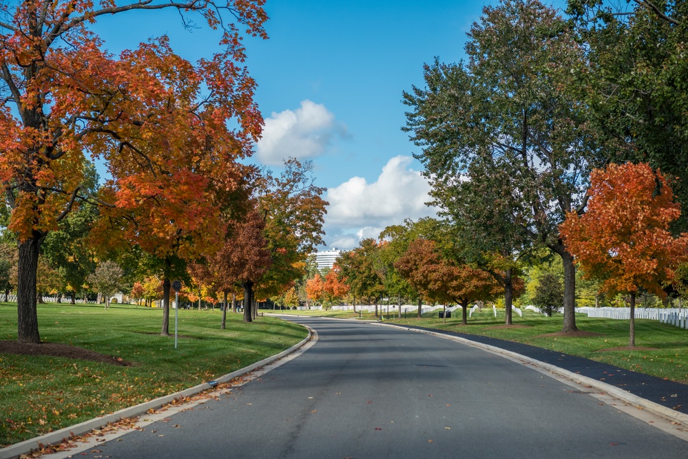 Fall Foliage 2018