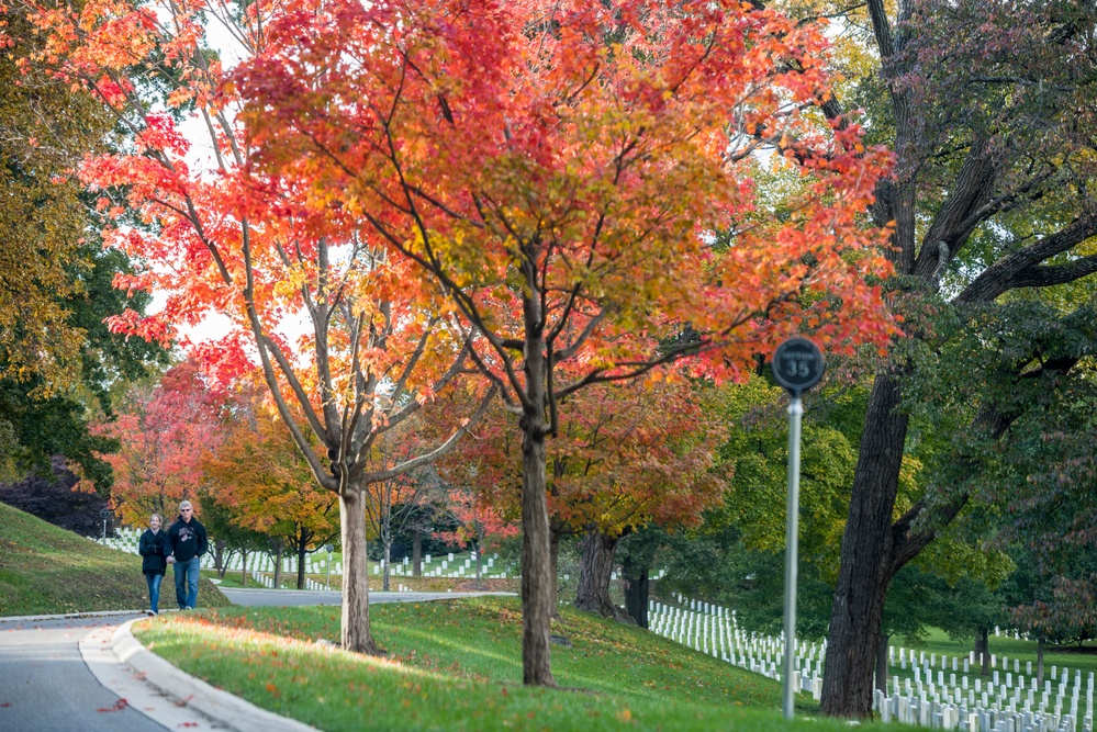 Fall Foliage 2018
