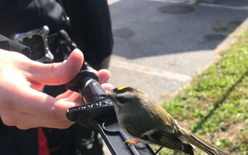 Airman/Pirate saves bird at Fort Meade