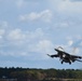 Falcon takes flight
