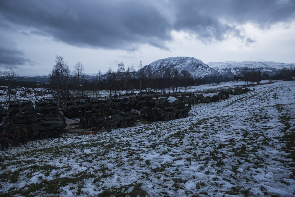 2/2 Easy Company Participates in Trident Juncture 18