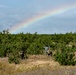 PJs at the end of the rainbow