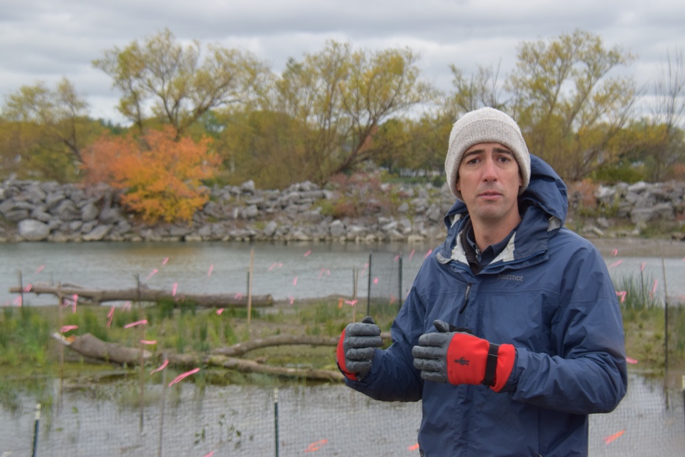 Buffalo District Biologist Andrew Hannes showcases the Unity Island Ecosystem Restoration project