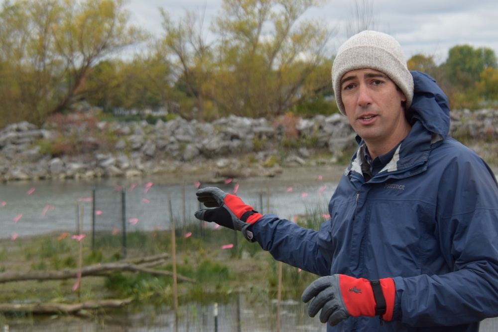 Buffalo District Biologist Andrew Hannes showcases the Unity Island Ecosystem Restoration project