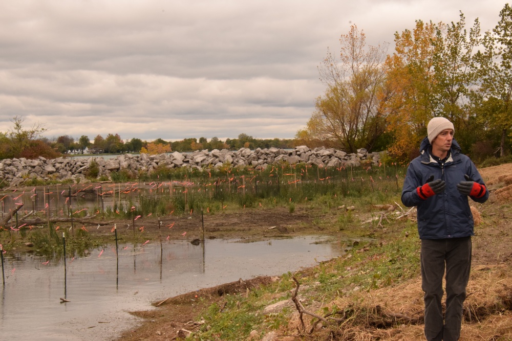 Buffalo District Biologist Andrew Hannes showcases the Unity Island Ecosystem Restoration project