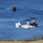 A military tiltrotor aircraft, identified as a Bell Boeing V-22 Osprey (marked '08'), is flying low over a coastal waterway. In the background, three military watercraft — appearing to be Landing Craft Utility (LCU) or similar amphibious vessels — are operating on the water. The scene suggests a coordinated amphibious military exercise or operation.