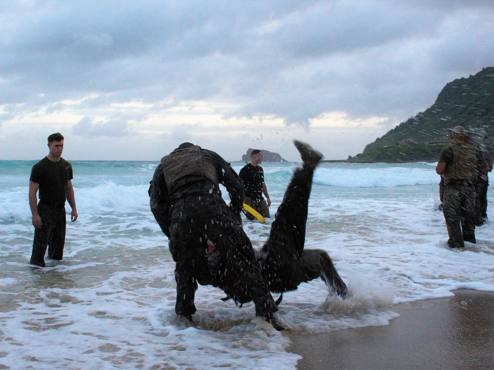 Amphibious warriors conduct shallow-water martial arts training