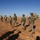 A group of soldiers from what appear to be two different military forces are conducting a joint foot patrol across an arid, open terrain. An armored military vehicle, identifiable by a visible American flag, is positioned in the background. The scene suggests a combined multinational military patrol operation in a dry, semi-desert environment.