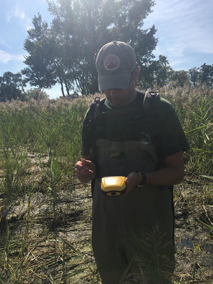 Port Clinton Ecological Restoration: Another Success for GLRI