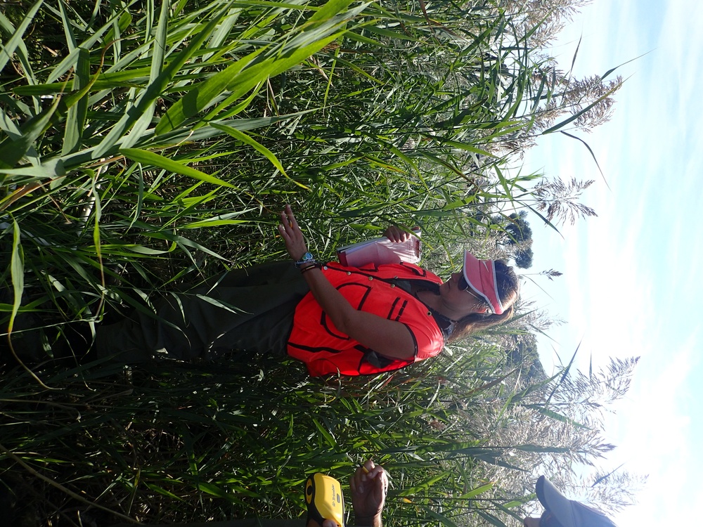 Port Clinton Ecological Restoration: Another Success for GLRI