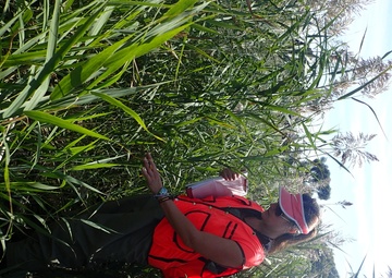 Port Clinton Ecological Restoration: Another Success for GLRI