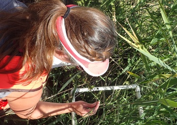 Port Clinton Ecological Restoration: Another Success for GLRI