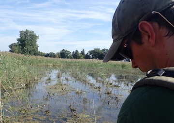Port Clinton Ecological Restoration: Another Success for GLRI